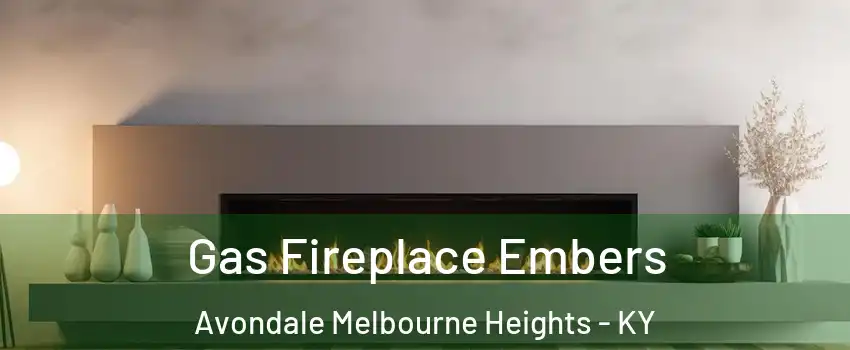 Gas Fireplace Embers Avondale Melbourne Heights - KY