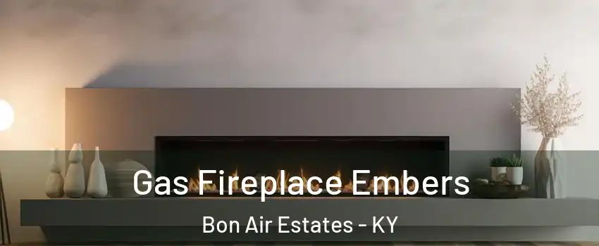 Gas Fireplace Embers Bon Air Estates - KY