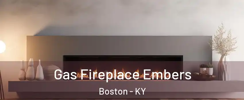 Gas Fireplace Embers Boston - KY