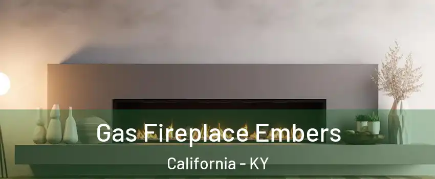 Gas Fireplace Embers California - KY