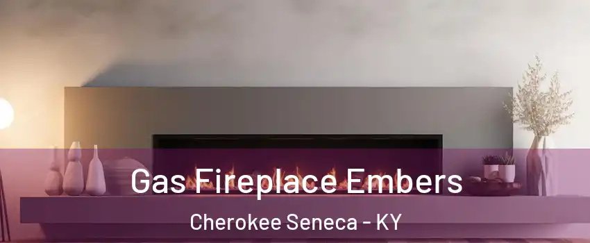 Gas Fireplace Embers Cherokee Seneca - KY