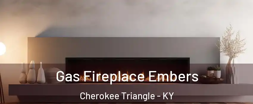 Gas Fireplace Embers Cherokee Triangle - KY