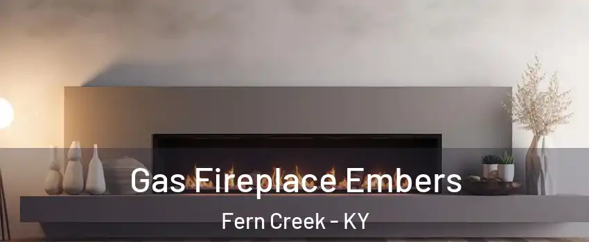 Gas Fireplace Embers Fern Creek - KY