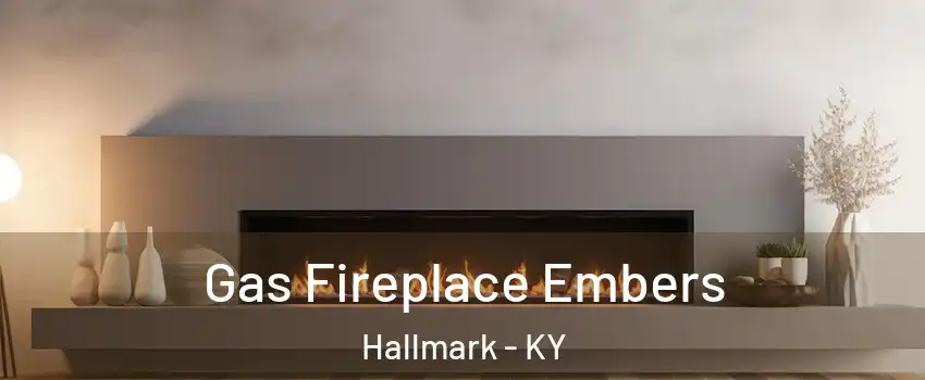 Gas Fireplace Embers Hallmark - KY