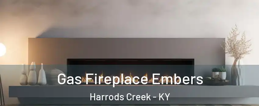 Gas Fireplace Embers Harrods Creek - KY