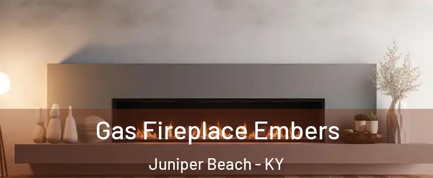 Gas Fireplace Embers Juniper Beach - KY