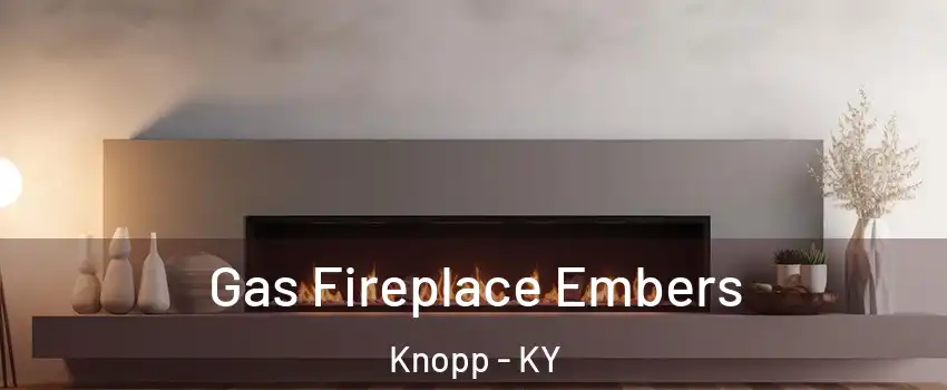 Gas Fireplace Embers Knopp - KY