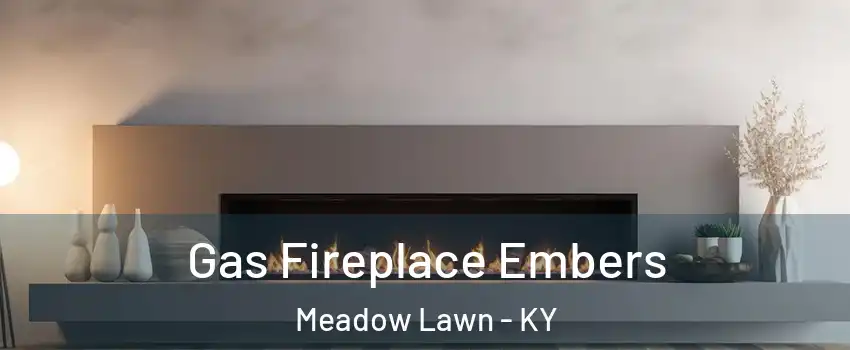 Gas Fireplace Embers Meadow Lawn - KY