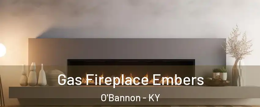 Gas Fireplace Embers O'Bannon - KY