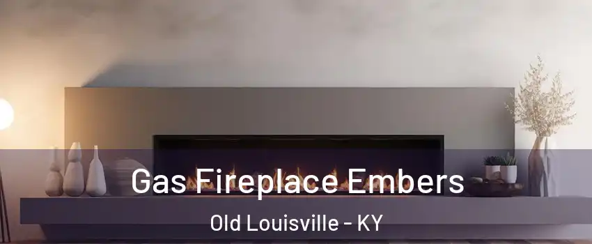 Gas Fireplace Embers Old Louisville - KY