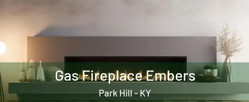 Gas Fireplace Embers Park Hill - KY