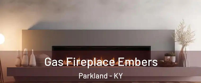 Gas Fireplace Embers Parkland - KY