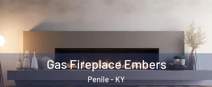 Gas Fireplace Embers Penile - KY