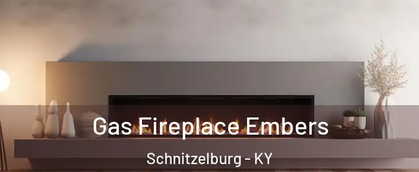 Gas Fireplace Embers Schnitzelburg - KY