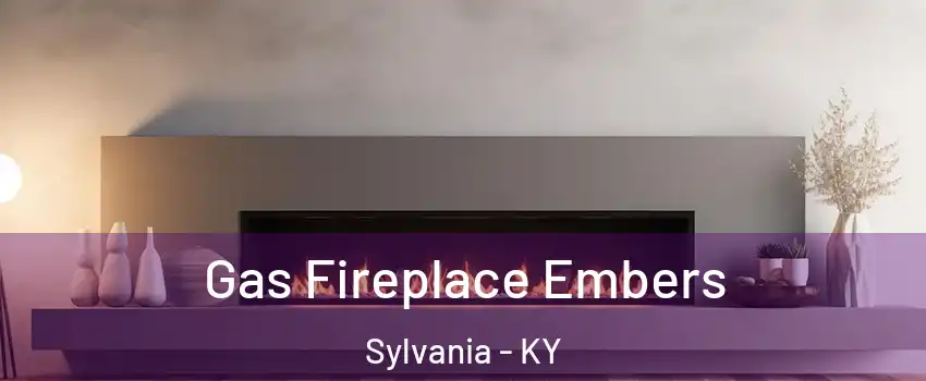 Gas Fireplace Embers Sylvania - KY