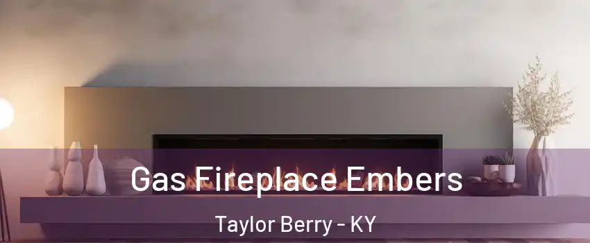 Gas Fireplace Embers Taylor Berry - KY