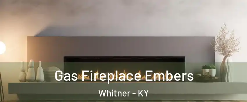 Gas Fireplace Embers Whitner - KY