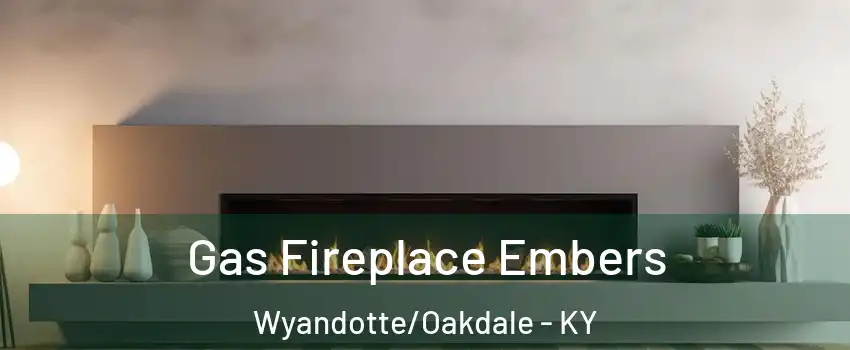 Gas Fireplace Embers Wyandotte/Oakdale - KY