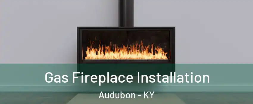 Gas Fireplace Installation Audubon - KY