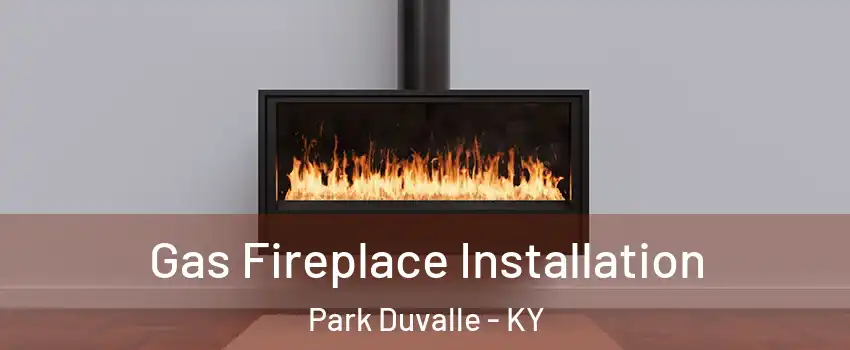 Gas Fireplace Installation Park Duvalle - KY