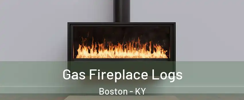 Gas Fireplace Logs Boston - KY