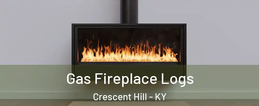 Gas Fireplace Logs Crescent Hill - KY