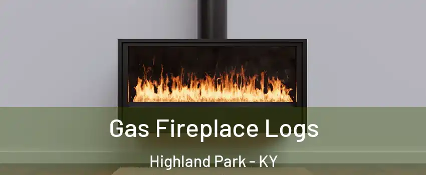 Gas Fireplace Logs Highland Park - KY