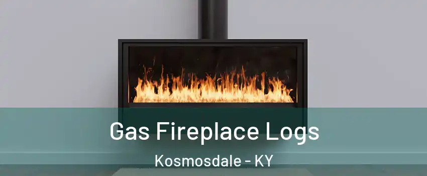 Gas Fireplace Logs Kosmosdale - KY