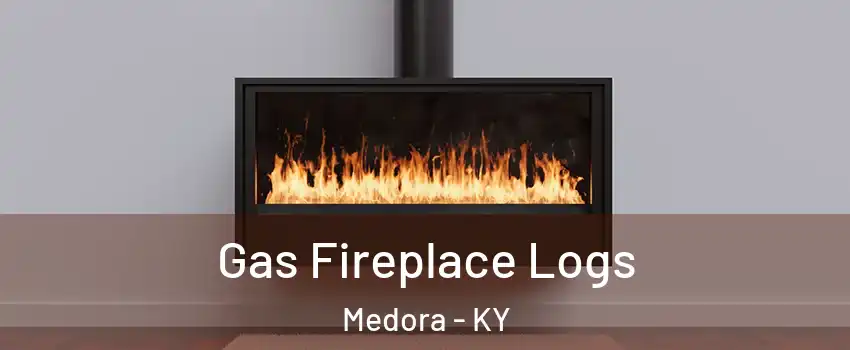 Gas Fireplace Logs Medora - KY