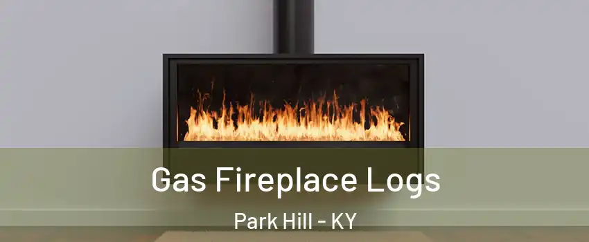 Gas Fireplace Logs Park Hill - KY