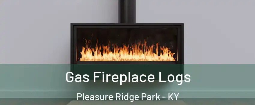 Gas Fireplace Logs Pleasure Ridge Park - KY