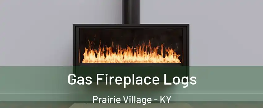 Gas Fireplace Logs Prairie Village - KY