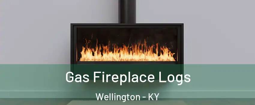 Gas Fireplace Logs Wellington - KY