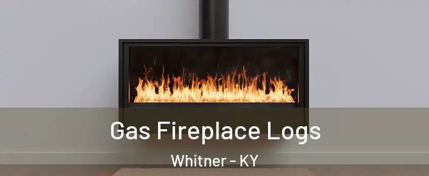 Gas Fireplace Logs Whitner - KY