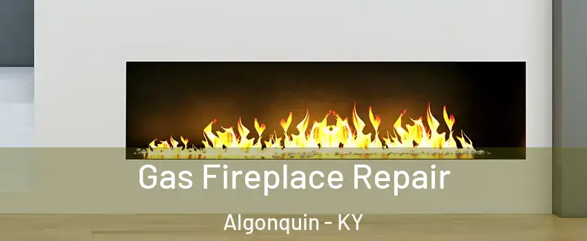 Gas Fireplace Repair Algonquin - KY