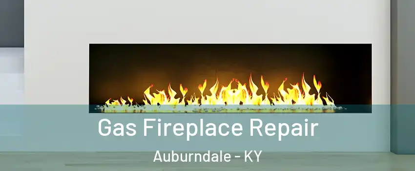 Gas Fireplace Repair Auburndale - KY