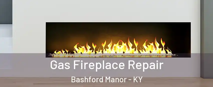 Gas Fireplace Repair Bashford Manor - KY