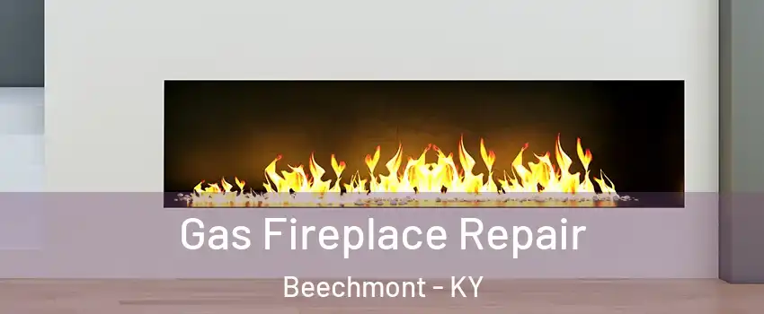 Gas Fireplace Repair Beechmont - KY