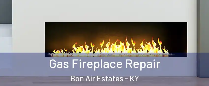 Gas Fireplace Repair Bon Air Estates - KY