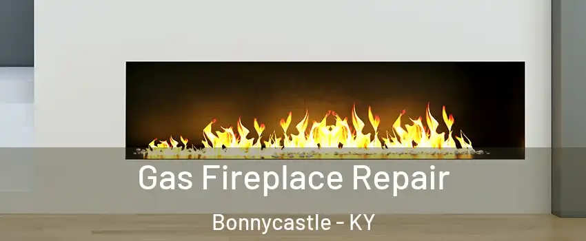 Gas Fireplace Repair Bonnycastle - KY