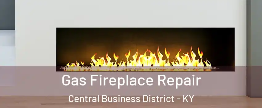 Gas Fireplace Repair Central Business District - KY