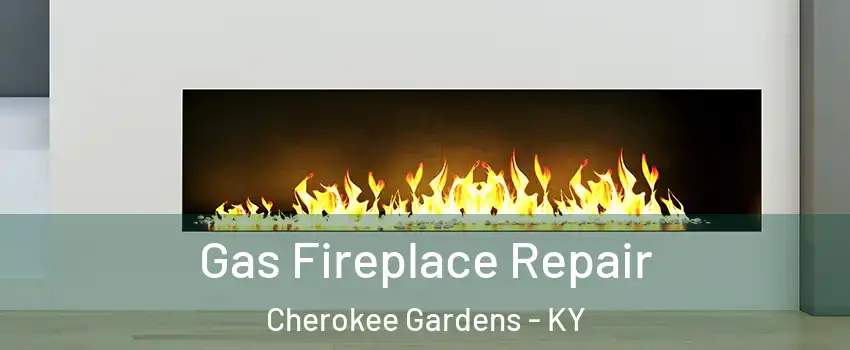 Gas Fireplace Repair Cherokee Gardens - KY