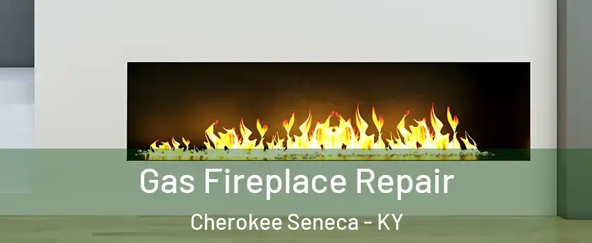 Gas Fireplace Repair Cherokee Seneca - KY