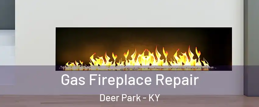 Gas Fireplace Repair Deer Park - KY