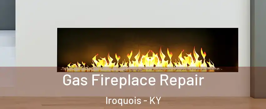 Gas Fireplace Repair Iroquois - KY