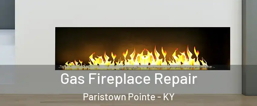 Gas Fireplace Repair Paristown Pointe - KY