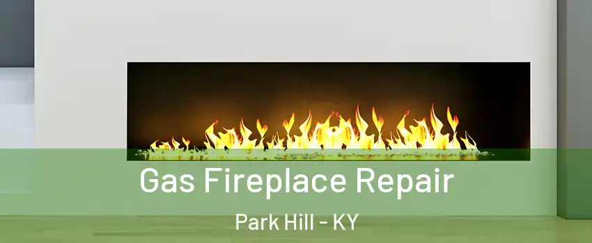 Gas Fireplace Repair Park Hill - KY