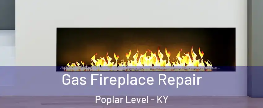 Gas Fireplace Repair Poplar Level - KY