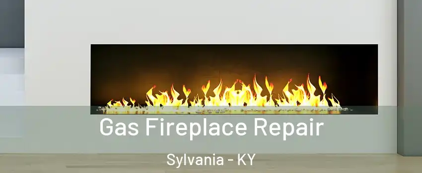 Gas Fireplace Repair Sylvania - KY