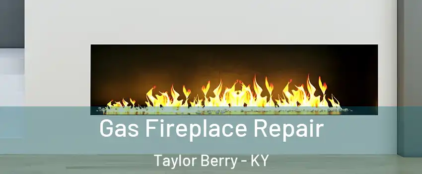 Gas Fireplace Repair Taylor Berry - KY